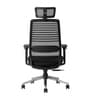 Sthira Office Chair with Seat Slider & Adjustable Lumbar Support in Black colour