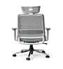Sthira Pro High Back Ergonomic Chair with Adjustable Lumbar Support And Adjustable Headrest in White Colour