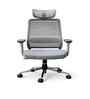 Sthira Pro High Back Ergonomic Chair with Adjustable Lumbar Support And Adjustable Headrest in White Colour
