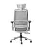 Sthira Pro Office Chair with Seat Slider & Adjustable Lumbar Support in White Colour