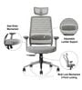 Sthira Pro Office Chair with Seat Slider & Adjustable Lumbar Support in White Colour