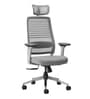 Sthira Pro Office Chair with Seat Slider & Adjustable Lumbar Support in White Colour