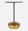 Stirling Metal End Table Black & Golden Finish