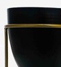 Stoned Multicolour Colour Metal Desk Planter