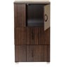 Chikako Cabinet in Wenge Finish