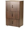 Chikako Cabinet in Wenge Finish