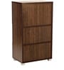 Chikako Cabinet in Wenge Finish