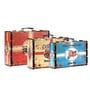 Storage Trunk Box Bike Box Vintage Storage Box