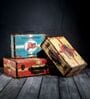 Storage Trunk Box Bike Box Vintage Storage Box