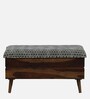 Tarani Sheesham Wood Bench with Storage In Blue Colour