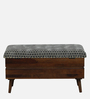 Tarani Sheesham Wood Bench with Storage In Blue Colour