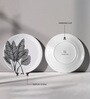 Storytelling Strokes Wall Plate