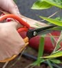 Straight Blade Cutter- D Handle