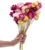 Straw Delight Multicolor Dried Flowers Set of 25 Stems