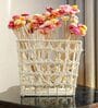 Straw Delight Multicolor Dried Flowers Set of 25 Stems