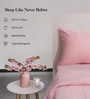 Strawberry Cream Step Design 300 TC 100% Cotton King Size Fitted Bed Sheet With 2 Pillow Covers
