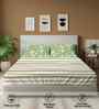 Streak Sage Green Floral 144 Tc Cotton Double Bedsheet With 2 Pillow Covers