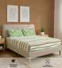 Streak Sage Green Floral 144 Tc Cotton Double Bedsheet With 2 Pillow Covers
