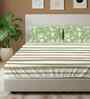 Streak Sage Green Floral 144 Tc Cotton King Bedsheet With 2 Pillow Covers