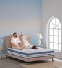 Strength Plus Euro Top 8 Inch HD Coir & PU Foam Mattress In Queen Size