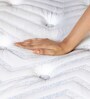 Strength Plus Euro Top 8 Inch HD Coir & PU Foam Mattress In Queen Size