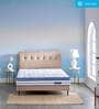 Strength Plus Euro Top 8 Inch HD Coir & PU Foam Mattress In Queen Size