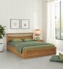 Stride Queen Size Bed Box In Classic Oak Finish