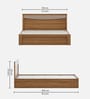 Stride Queen Size Bed Box In Classic Oak Finish