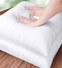 White Stripe Cushion Filler 16x16 Inch Pack of 1