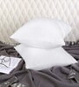 White Stripe Cushion Filler 16x16 Inch Pack of 2