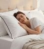 Stripe Microfiber 24 L x 16 W Inch Pillow With Blue Lining (Set of 2)