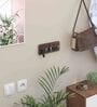 Brown Maple Wooden Wall Mounted Key Holder Hanger with 5 Knobs Maple
