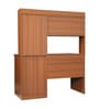 Studora Brown Colour Desk In Walnut Finish
