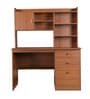 Studora Brown Colour Desk In Walnut Finish