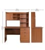 Studora Brown Colour Desk In Walnut Finish