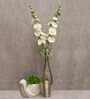 Stunning Artificial Hollyhock Flower Bunch with 10 Flower Heads (White)