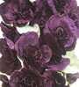 Stunning Artificial Hollyhock Flower Bunch with 10 Flower Heads (Pink) Stunning Artificial Hollyhock Flower Bunch with 10 Flower Heads (Pink)