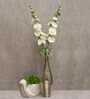Stunning Artificial Hollyhock Flower Bunch with 10 Flower Heads (White) Stunning Artificial Hollyhock Flower Bunch with 10 Flower Heads (White)
