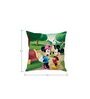 Mickey & Minnie Mouse Silk Cushion Cover
