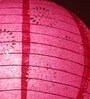 Pink Paper Lantern