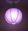 Purple Paper Lantern