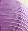 Purple Paper Lantern