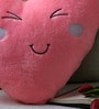 Pink Velvet 16 x 16 Inch Heart  Shaped  Cuddle Cushion
