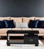 Stylish Glass Top Coffee Table in Black Colour