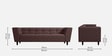 Suez Fabric 3 Seater Sofa In Brown Colour With Arms