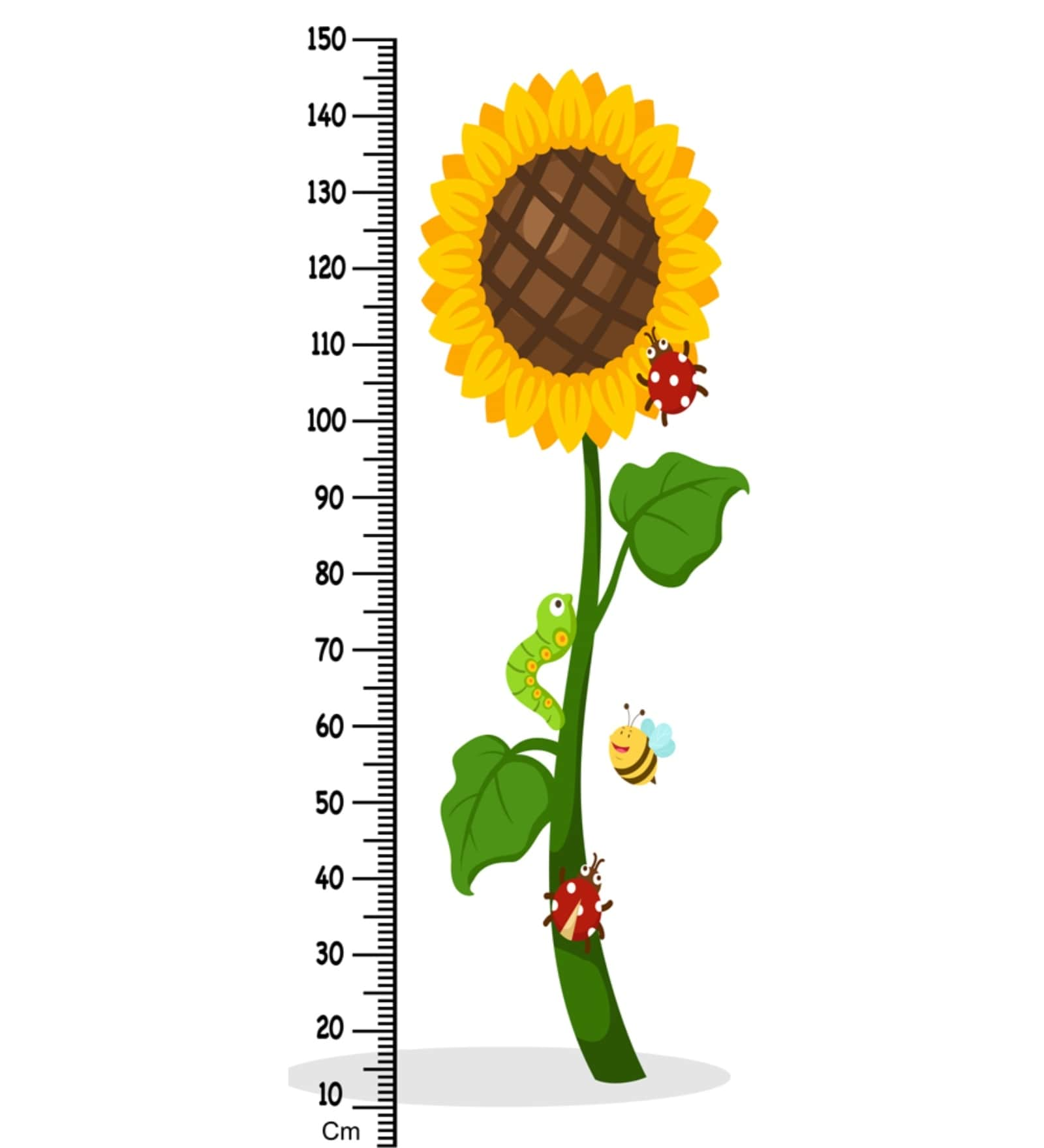 buy-sunflower-height-chart-in-multicolour-by-wens-online-height