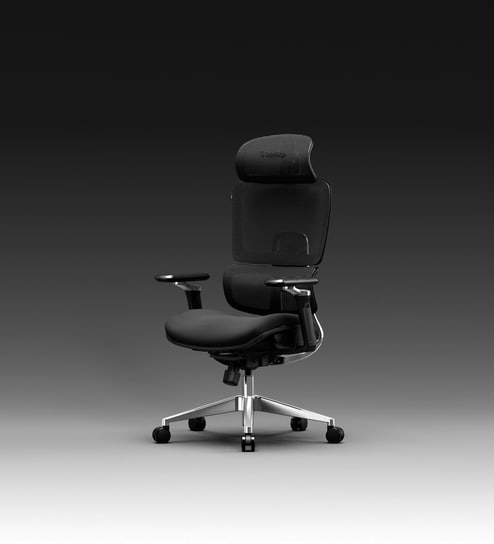 SuperErgo The Director Metal Lakestone Grey No Footrest