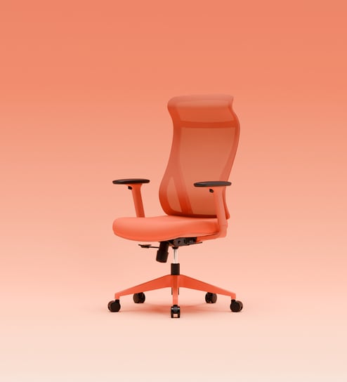 SuperErgo The Novice Spiced Orange