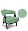 Sudan Accent Chair in Pista Colour