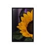 Sunflower Floral Printed Canvas  Wall Art